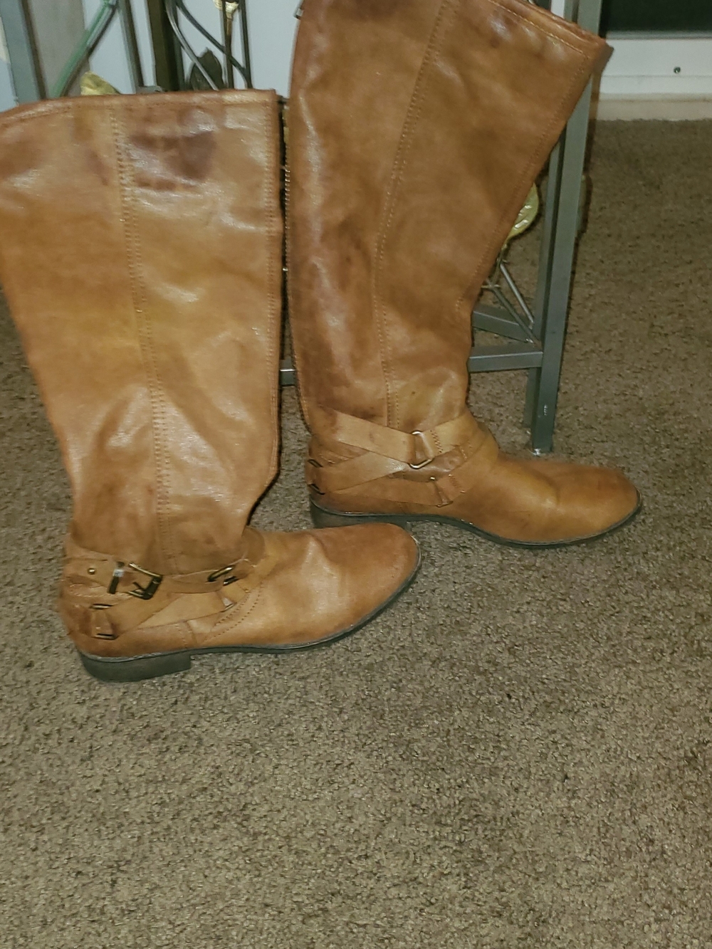 Women’s Madden Girl Tall Riding Boots in Brown